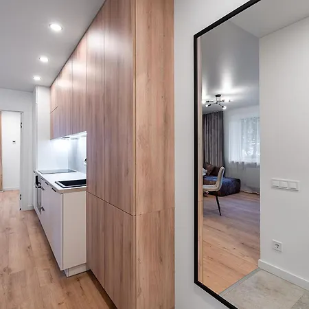 Modern 2 Bedroom Vytenio Apartment In City Centre I Self Check-In Вильнюс Экстерьер фото